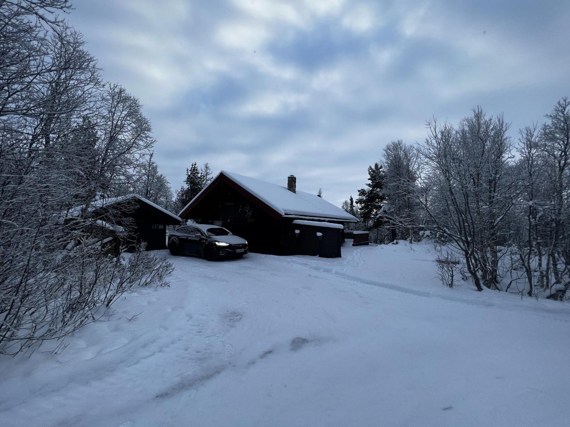 Koselig Hytte Med Usjenert Og Solrik Beliggenhet Geilo Exterior foto