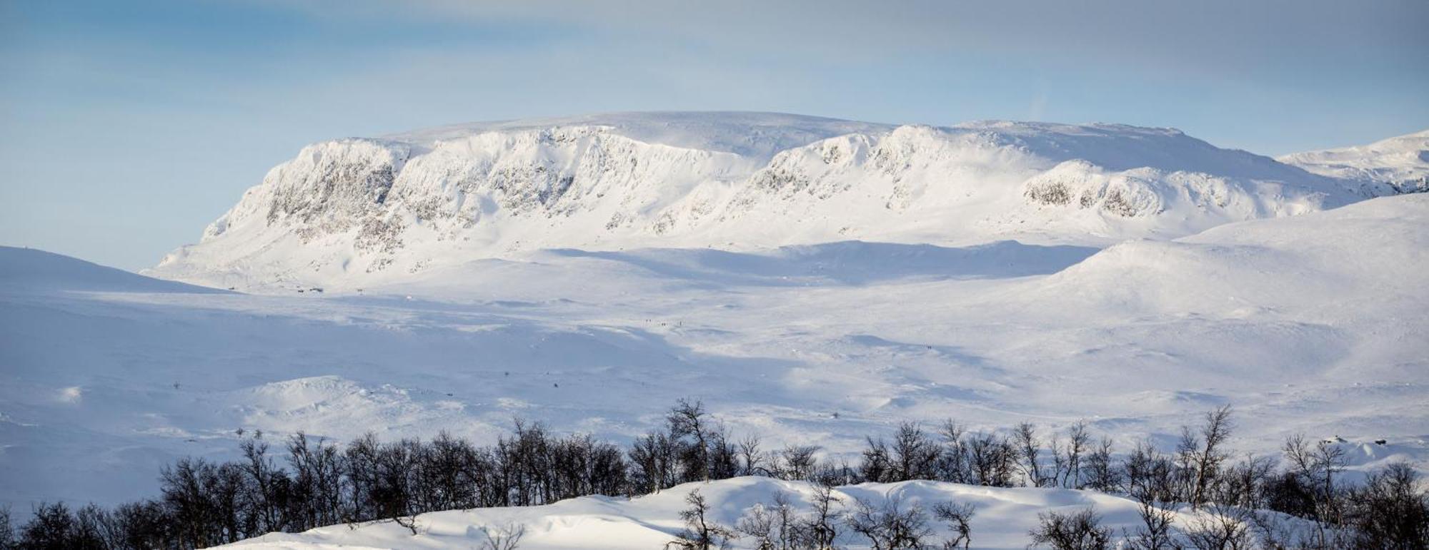 Koselig Hytte Med Usjenert Og Solrik Beliggenhet Geilo Exterior foto
